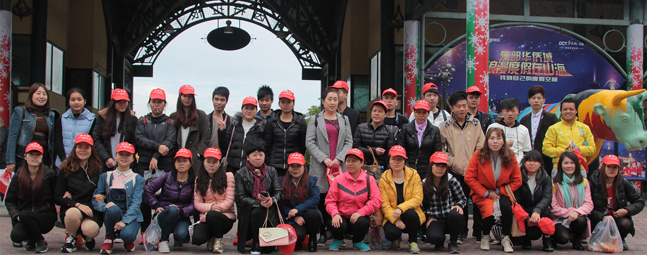 المهنية عاطفي المثابرة . 