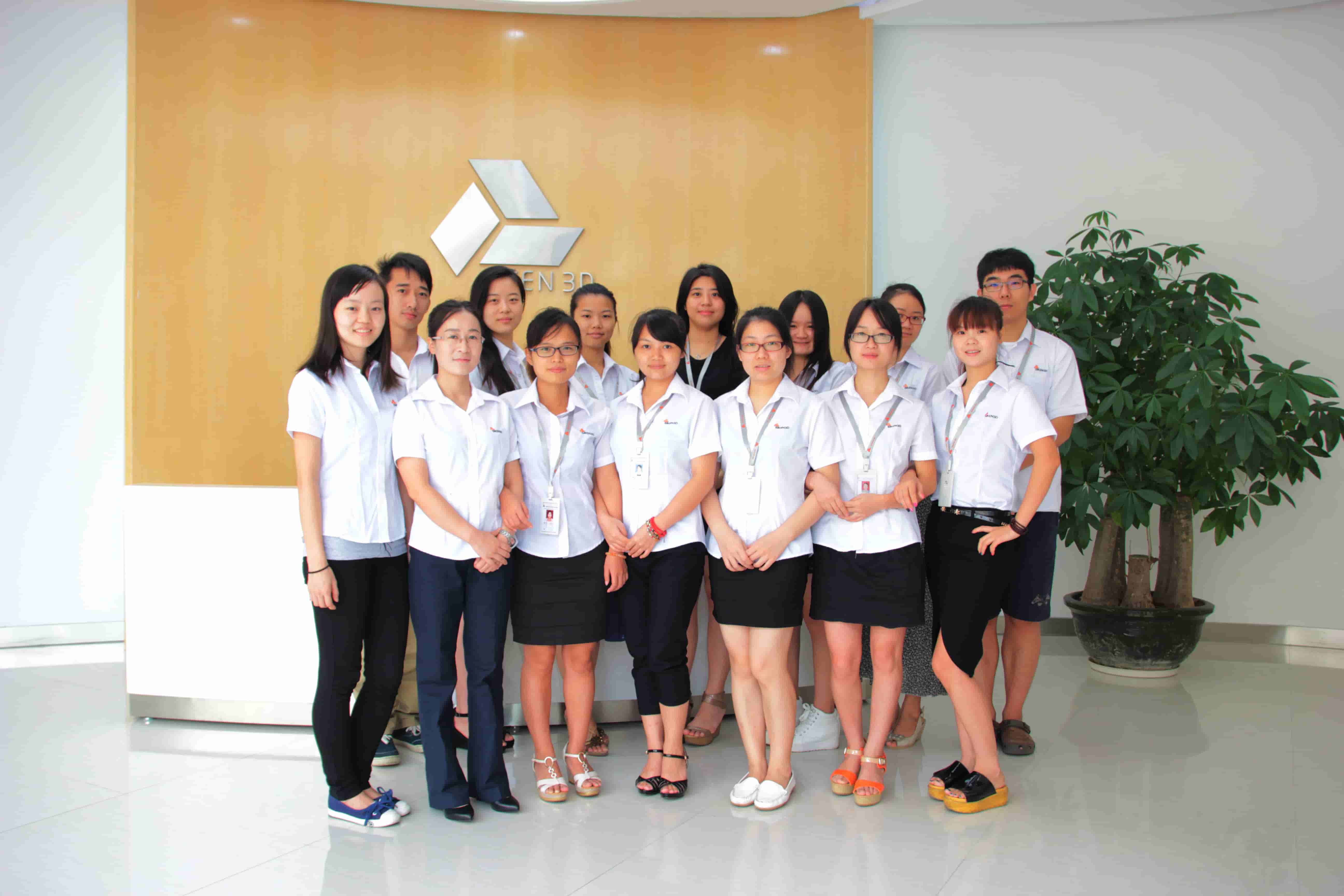 لديك فريق الإنتاج المهنية في الصين 